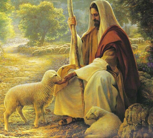 Jesus, the Good Shepherd. Image courtesy of turnbacktogod.com