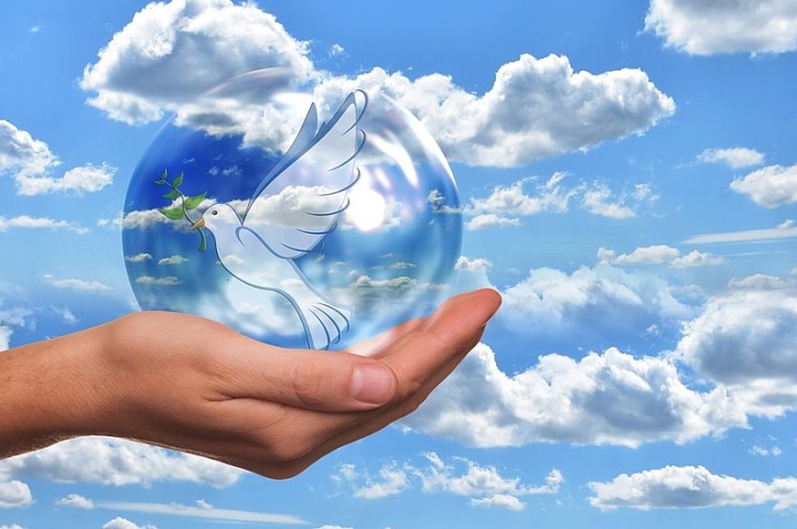 Dove of peace.  Image courtesy of pixabay.com